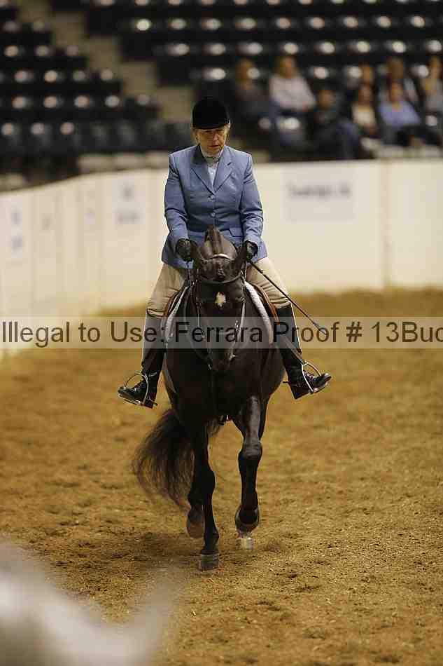 Proof 13buck_0757
