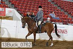 13buck_0762 proof