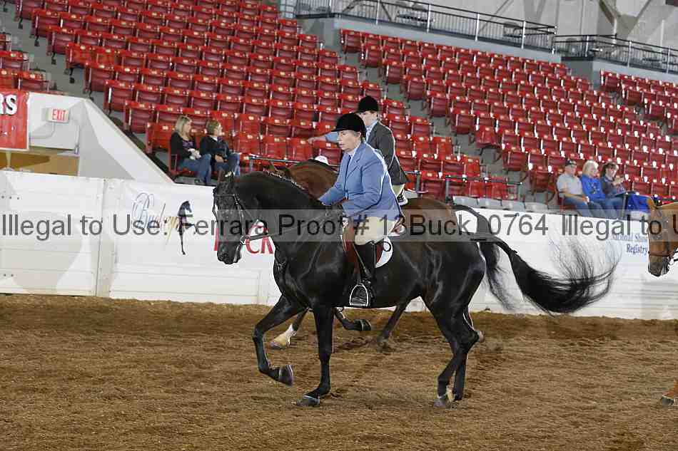 Proof 13buck_0764