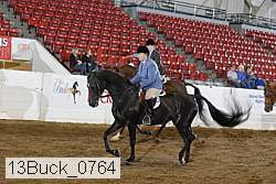 13buck_0764 proof