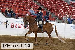 13buck_0769 proof