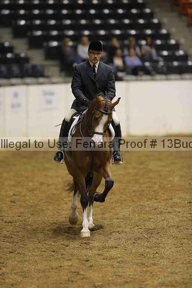 Proof 13buck_0770