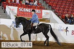 13buck_0774 proof