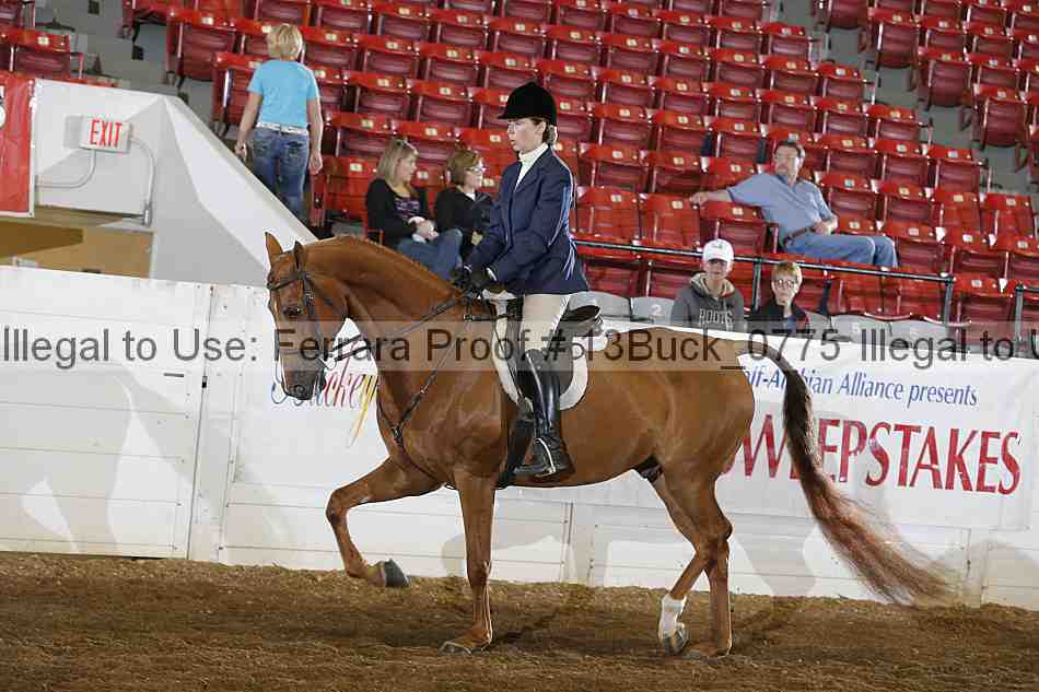 Proof 13buck_0775