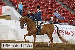 13buck_0775 proof