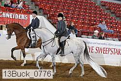 13buck_0776 proof
