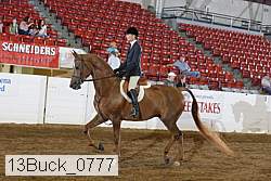 13buck_0777 proof