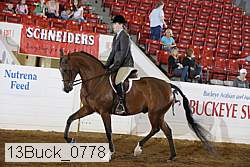 13buck_0778 proof