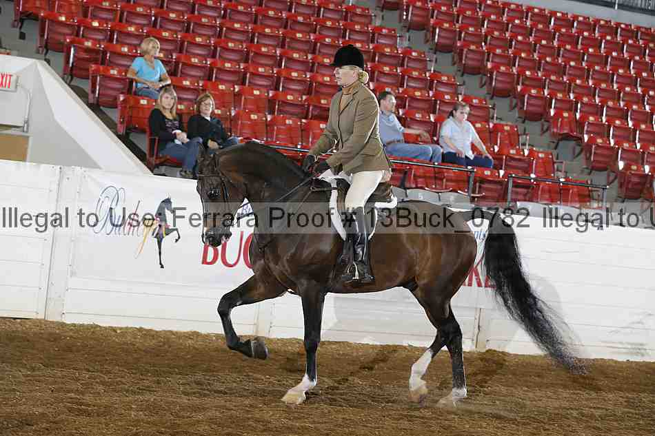 Proof 13buck_0782