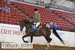 13buck_0783 proof