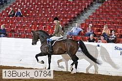 13buck_0784 proof