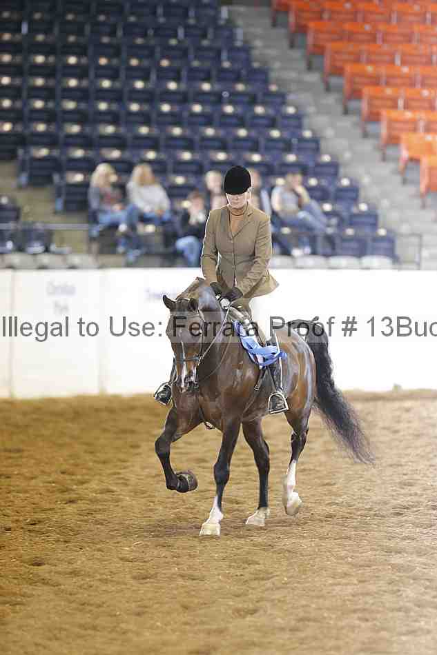 Proof 13buck_0785