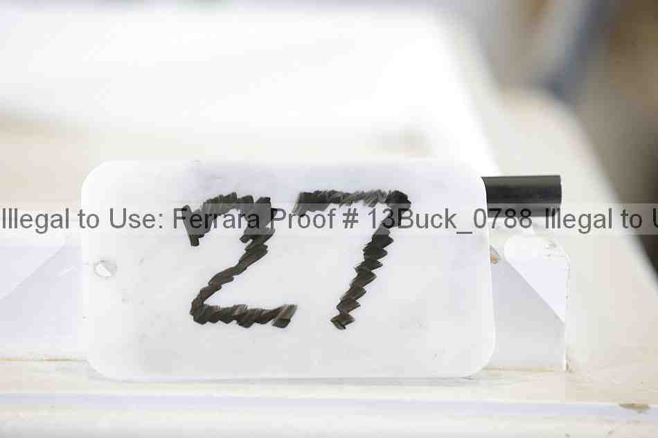 Proof 13buck_0788