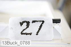 13buck_0788 proof