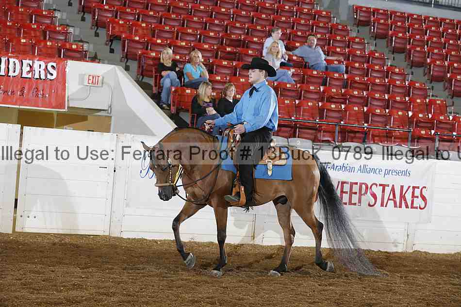 Proof 13buck_0789