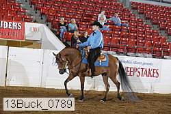 13buck_0789 proof