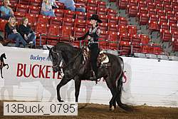 13buck_0795 proof