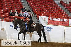 13buck_0805 proof