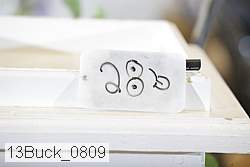 13buck_0809 proof