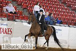 13buck_0810 proof