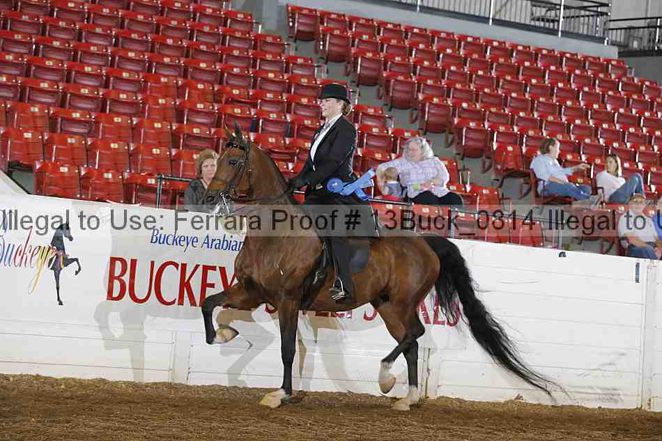 Proof 13buck_0814