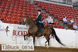 13buck_0814 proof