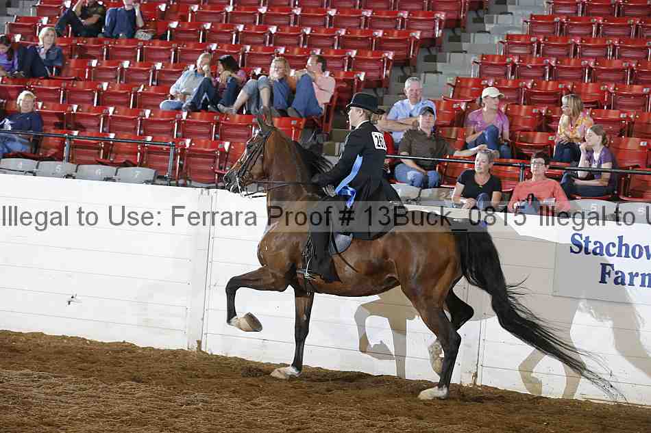 Proof 13buck_0815