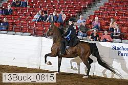 13buck_0815 proof