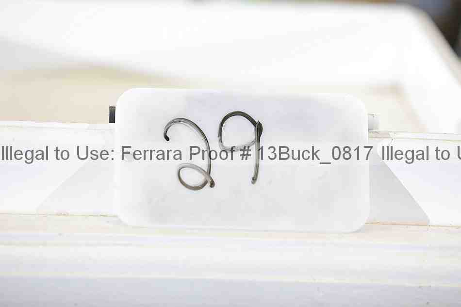 Proof 13buck_0817