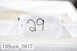 13buck_0817 proof