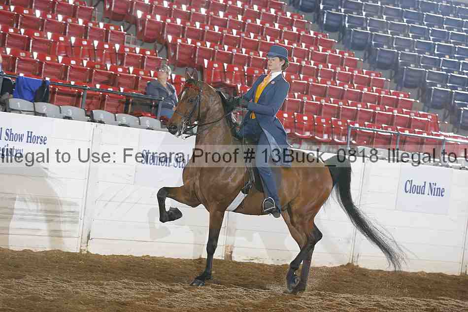 Proof 13buck_0818
