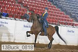 13buck_0818 proof