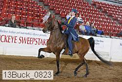 13buck_0823 proof