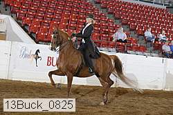 13buck_0825 proof