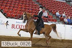 13buck_0826 proof