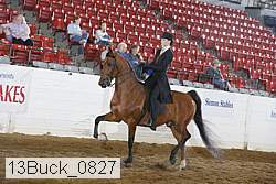 13buck_0827 proof