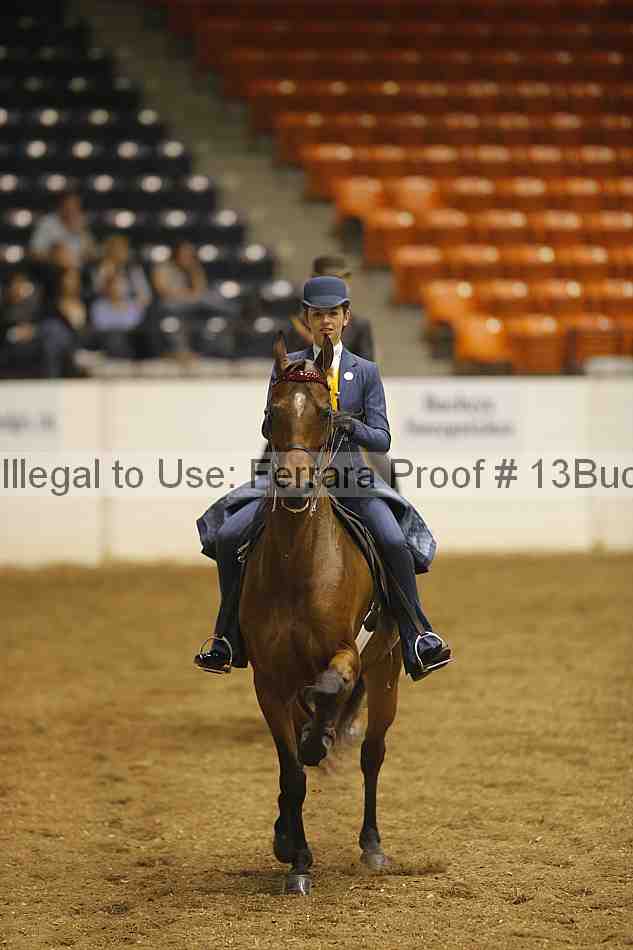 Proof 13buck_0828