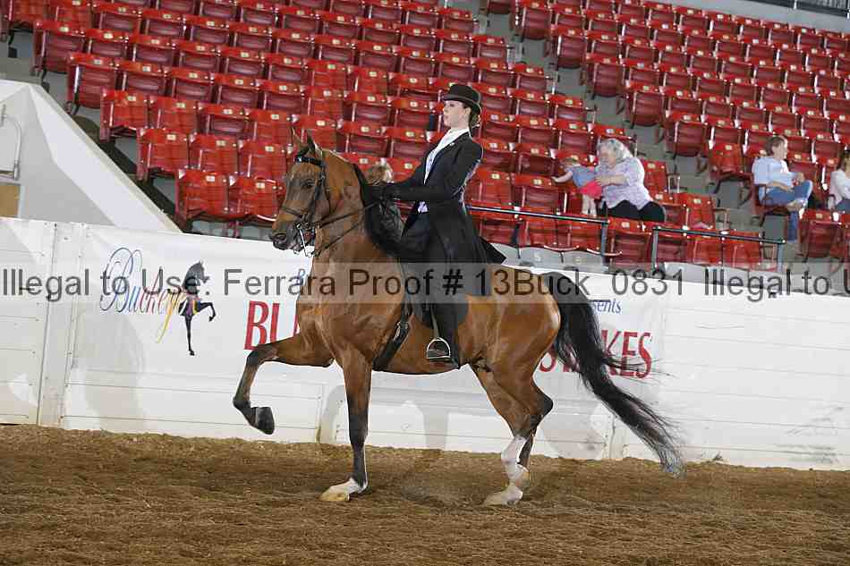 Proof 13buck_0831