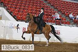 13buck_0831 proof