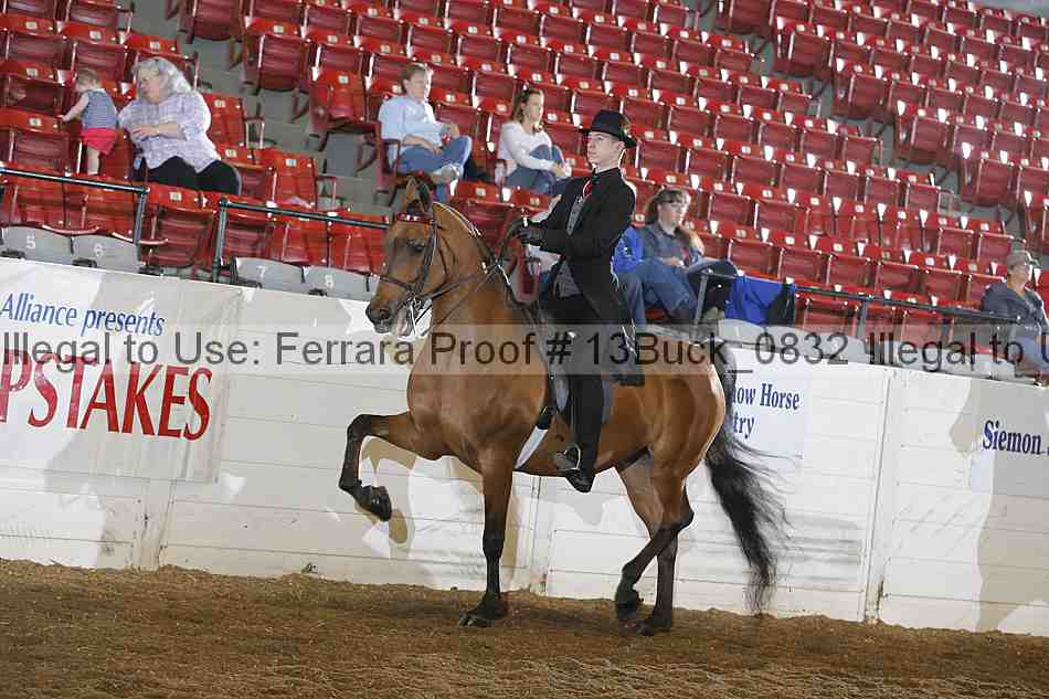 Proof 13buck_0832