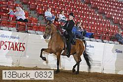13buck_0832 proof