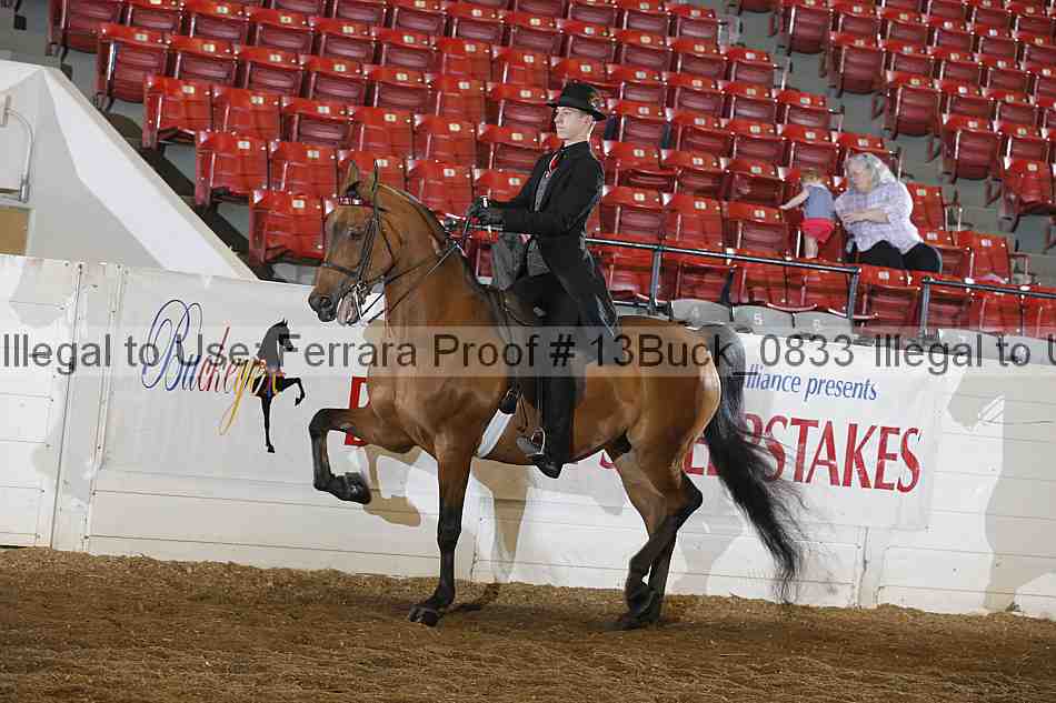 Proof 13buck_0833