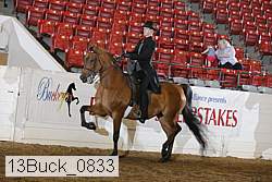 13buck_0833 proof