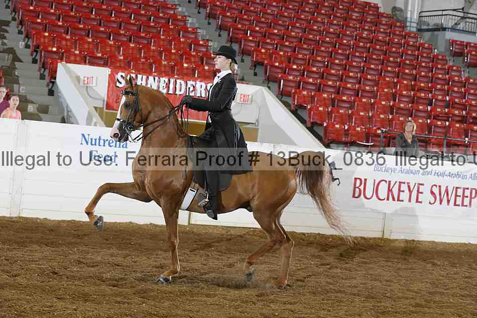 Proof 13buck_0836