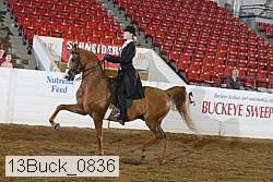 13buck_0836 proof