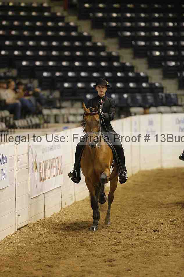 Proof 13buck_0837