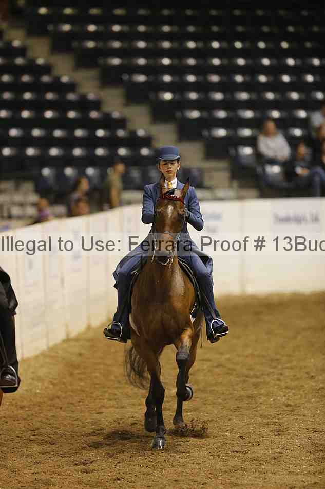 Proof 13buck_0838