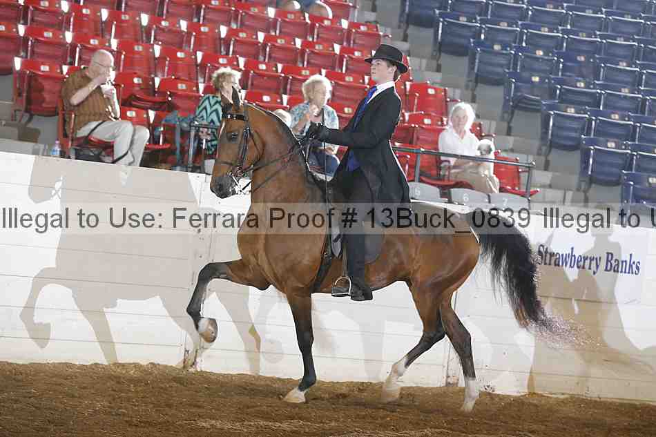Proof 13buck_0839