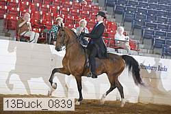 13buck_0839 proof