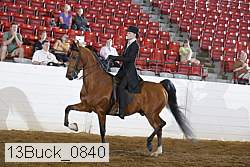 13buck_0840 proof
